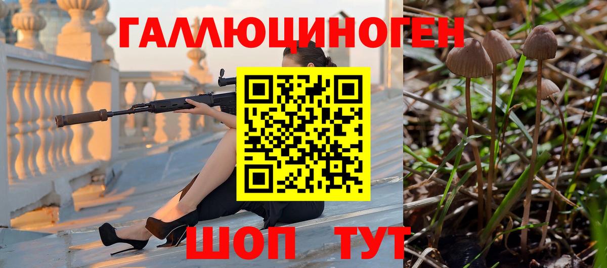 Галлюциногенные грибы Psilocybe Королёв